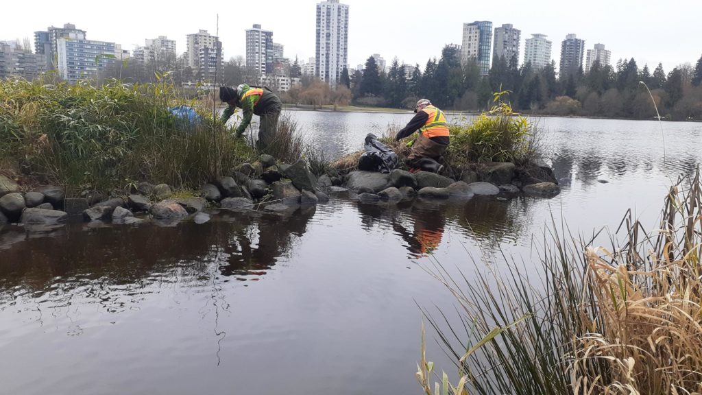 Programme d'intendance des parcs, Stanley Park, Vancouver, Stanley Park Ecology Society